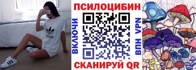Галлюциногенные грибы Cubensis kraken онион Щигры